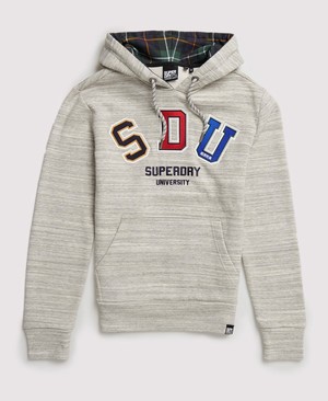 Superdry Crafted Casuals Applique Férfi Kapucnis Pulóver Szürke | KIRBA5120